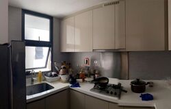 Blossom Residences (D23), Condominium #625954281